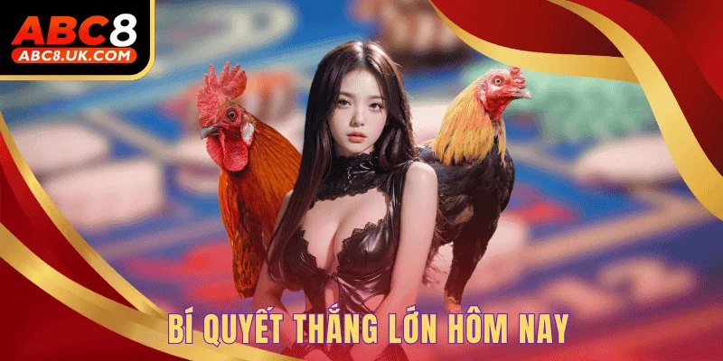 Mẹo Chơi Đá Gà - Nâng Cao Cơ Hội Rinh Về Thưởng Khủng 3 Bí quyết thắng lớn hôm nay