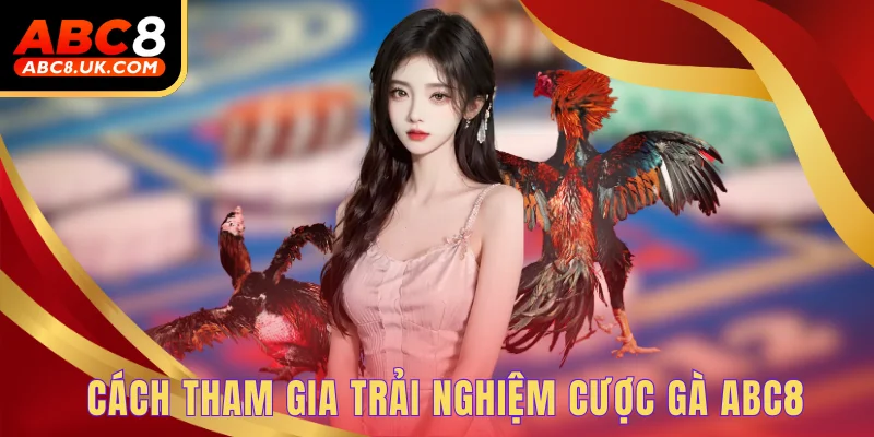 Đá Gà Phi - Cơ Hội Thưởng Thức Những Trận Đấu Hấp Dẫn 3 Cách tham gia trải nghiệm cược gà ABC8