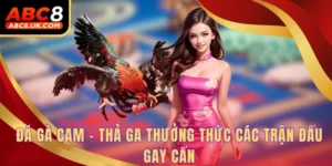 Đá Gà Cam - Thả Ga Thưởng Thức Các Trận Đấu Gay Cấn 2 Đá Gà Cam