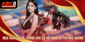 Mẹo Chơi Đá Gà - Nâng Cao Cơ Hội Rinh Về Thưởng Khủng  5 mẹo chơi đá gà