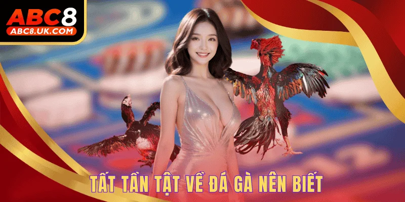 Mẹo Chơi Đá Gà - Nâng Cao Cơ Hội Rinh Về Thưởng Khủng 1 Tất tần tật về đá gà nên biết